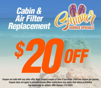 Cabin & Air Filter Replacement